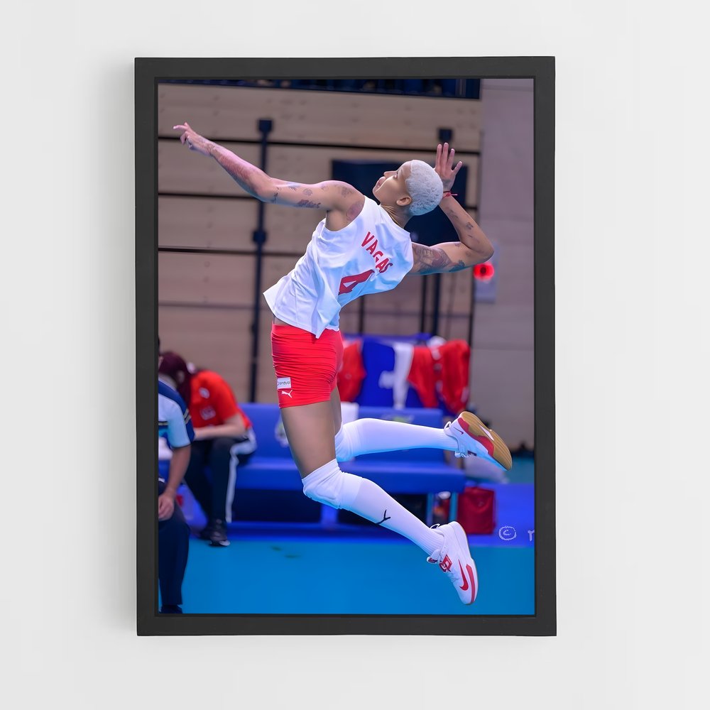 Poster Envolée Volleyball (vue 2)